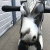 Antique style rocking horses in natural finish all hand painted "Domino" - Image 11