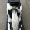 Antique style rocking horses in natural finish all hand painted "Domino" - Image 10